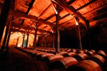 Béziers fut le plus grand vignoble de France