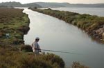 Gruissan a su respecter le paysage contrairement à d'autres...
